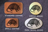 Armadillo TEXAS Belt Buckle-Metal Some Art